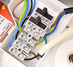 bx pt ecoblue h90477 ter.jpg